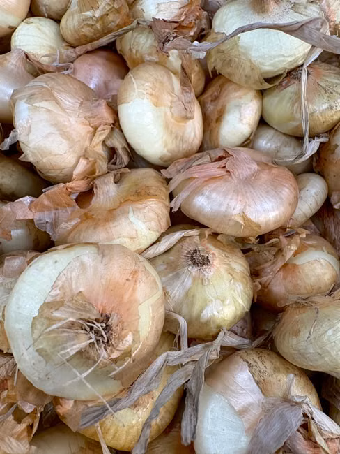 Filé de Peito de Frango (kg)